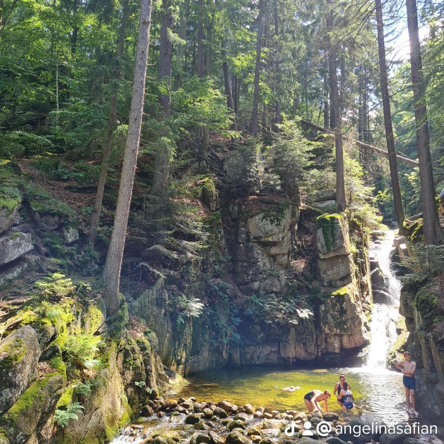 Moja Milosc. Lägenhet Podgórzyn Exteriör bild