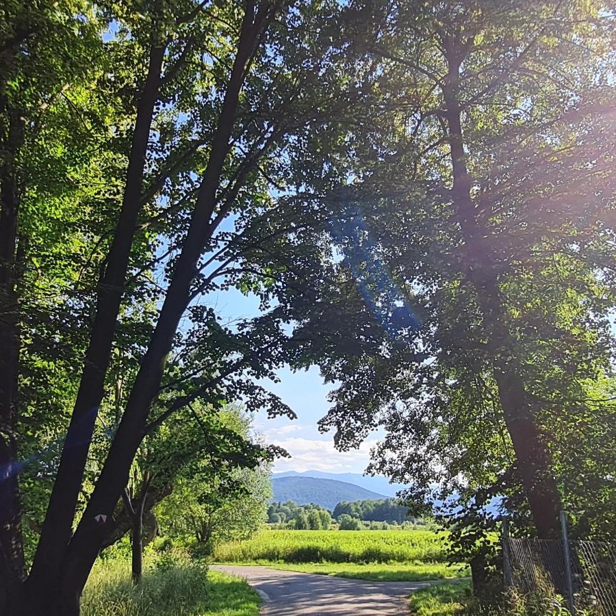 Moja Milosc. Lägenhet Podgórzyn Exteriör bild